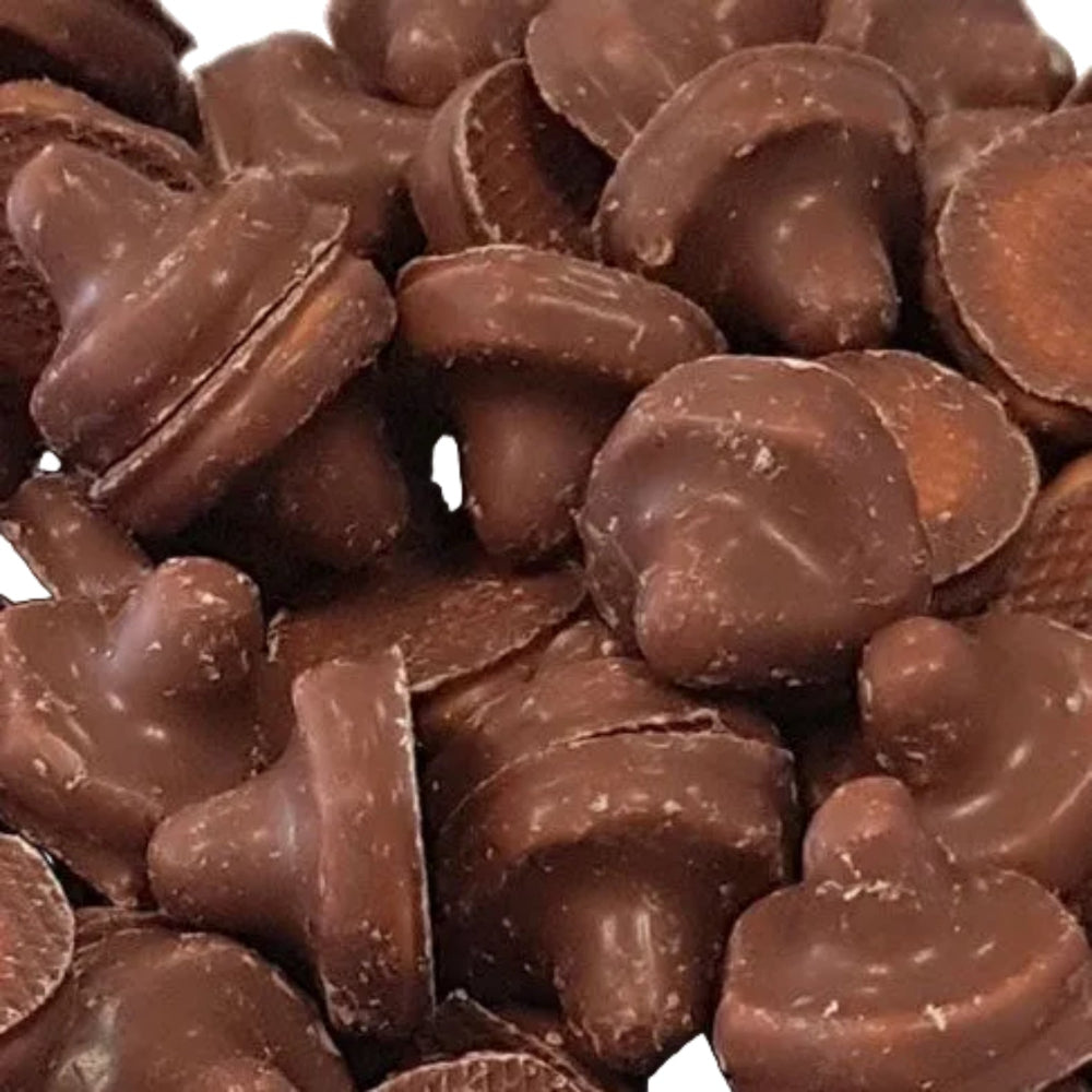 Schoko Pilz Bottle 1000g